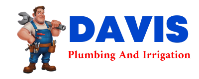 Trusted plumber in DAVANT